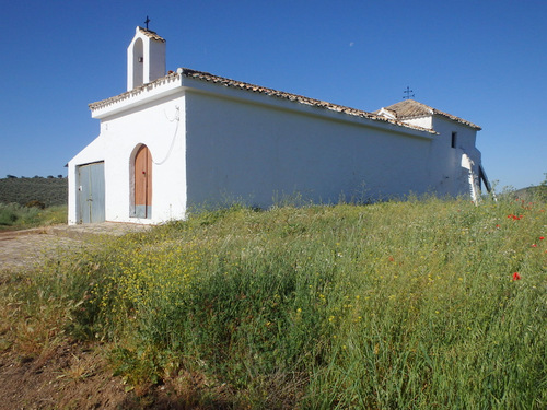 Church and Agriculture Looking Buildings on a Hilltop.
